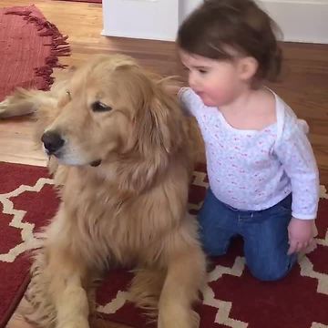 Precious Golden Retriever delivers kisses to baby