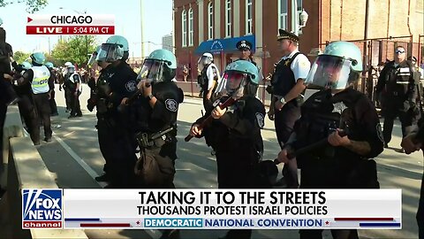 Police Hit With Sticks, Signs At Chicago Protests