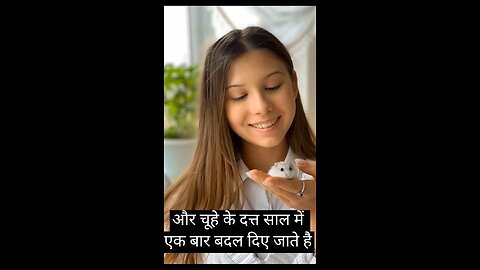 चूहे का अस्ततिव पृथ्वी पर कितने साल से चला आ रहा है#shorts#viral#treanding#paparul#amazing