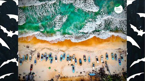 Beauty of Sri-Lanka at beach is peaceful ☮️