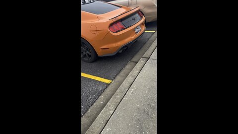 Eco boost mustang cat delete