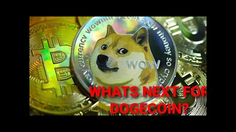 WALLSTREETBETS DOGE COIN REPORT AND WHAT SHOULD HAPPEN WHEN IT HITS 1$