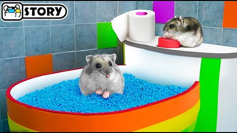 Amazing hamster maze with balls🐹