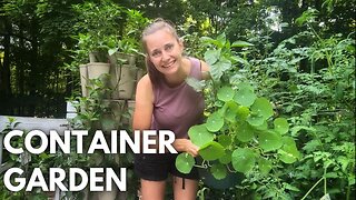 Small Space Container Garden (Growing Food in Pots)