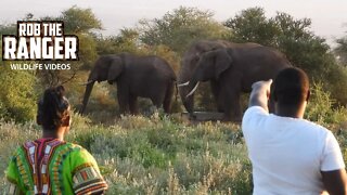 Giraffe And Elephants At The Camp Waterhole | Zebra Plains Safari | Amboseli