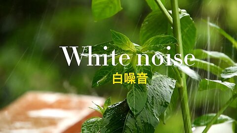 Rain nature sounds for Relaxing, Focus or Deep Sleep | Nature White Noise | 白噪音雨声伴你入眠，放松学习