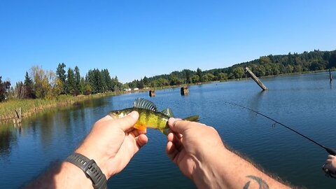 Fishing Vernonia Lake for Perch and Bluegill