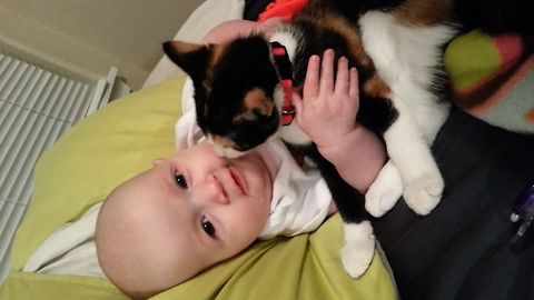 Why Kitties Make The Best Babysitter