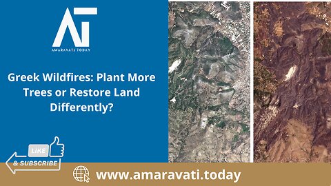 Greek Wildfires Plant More Trees or Restore Land Differently | Amaravati Today