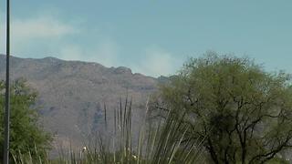 Burro Fire burning in Redington Pass