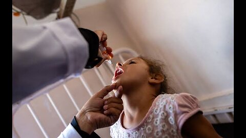 Gaza needs 640,000 polio vaccines. This is how the World Health Organization plans to do it