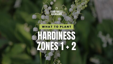 What to plant in zones 1 and 2