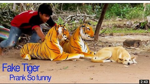 (FUNNY) Fake 2 Tiger Pranks Dogs