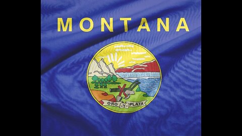 Wrong-Sized Ballots Delay Results in Montana US House Race