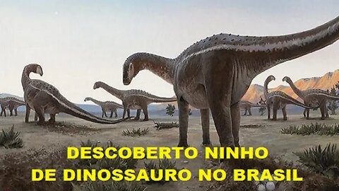 Descoberto primeiro ninho de dinossauro do Brasil | Terra 2.0 TV