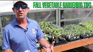 Fall Vegetable Gardening Tips