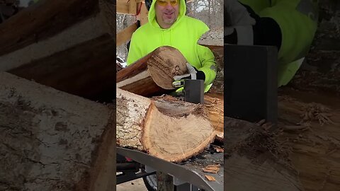 Splitting a Tree Inside a Tree #firewood #shortsfeed #fyp