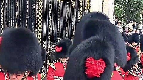 Trooping the colour rehearsal at green parks Royal gate's #thekingsguard