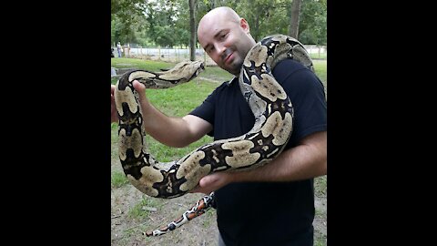 Snake Handler in Training