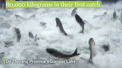 80,000 kilograms of fish in their first catch