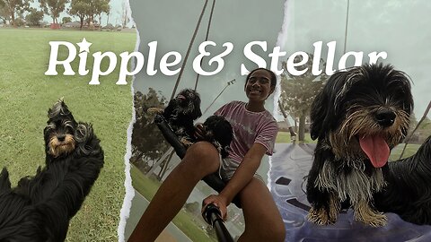 Ripple & Stellar | Playing around Mini Vlog