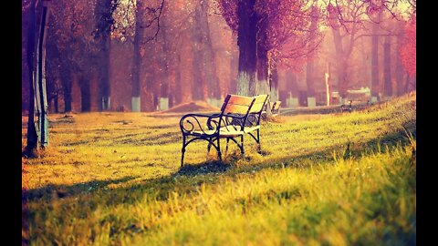 Promised Land Bench 3/16/2022