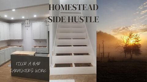 Homestead Hustle: Mastering Construction and Correcting Carpenter's Mistakes