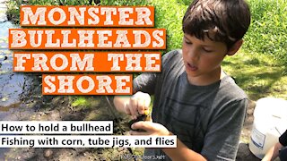 S3:E2 Monster Bullheads From the Shore | Kids Outdoors