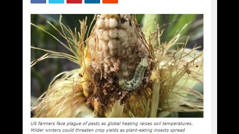 CROP HARVESTS ARE THREATENED BY WARMING SOIL TEMPS WHICH ALLOW PESTS TO SURVIVE