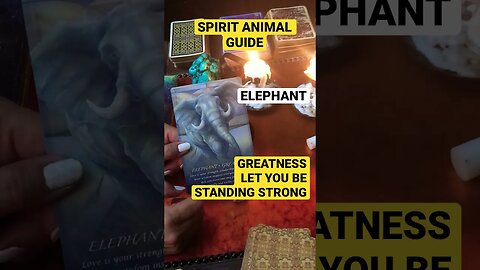 #shorts #shortsfeed #animalspiritguides #spiritualawakening 🐘SPIRIT GUIDE 🦋💥⚡️IN YOUR GREATNESS