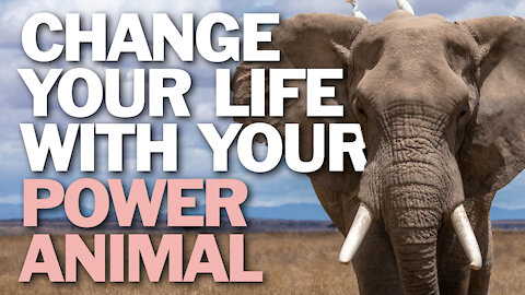 Change Your Life With Your Power Animal