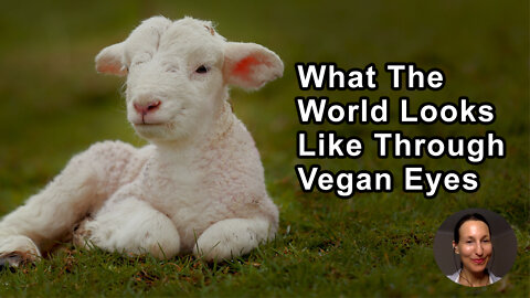 What The World Looks Like Through Vegan Eyes - Melanie Joy, PhD