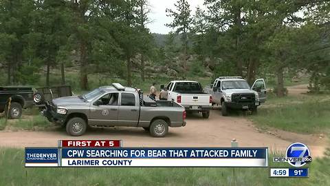 Wildlife officials searching for bear that attacked family camping in Larimer County