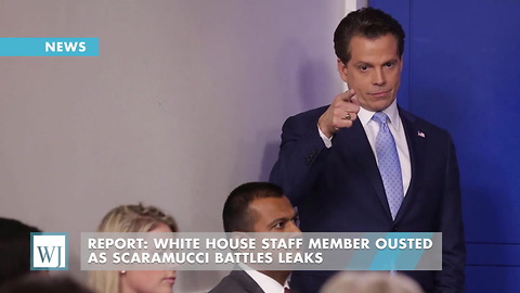 Report: White House Staff Member Ousted As Scaramucci Battles Leaks