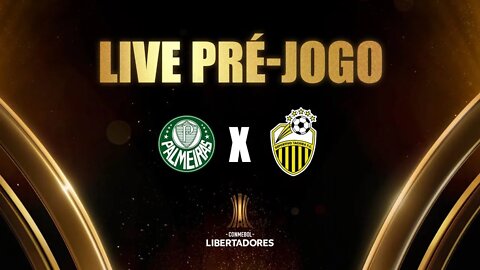 PRÉ-JOGO PALMEIRAS X DEP. TACHIRA #LIBERTADORES #PAULOMASSINI