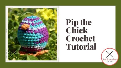 Left Hand Pip the Chick Part 2 Free Crochet Pattern Workshop