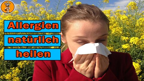 Frei von Allergien in wenigen Wochen!