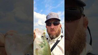 monster slabs on short jigs