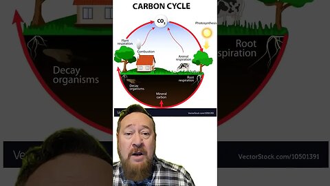 The Carbon Cycle of Life