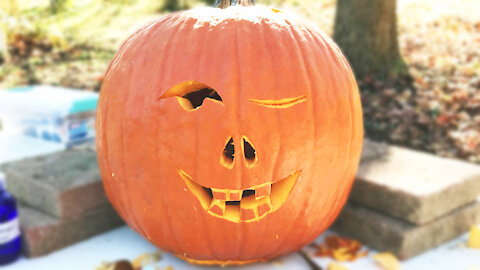 Squashcarver 'Face Jack O'Lantern Level 2' pumpkin carving cut-out time lapse (2 of 3)