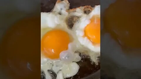 🎦 Do You Like Eggs For Breakfast❓ #shorts #breakfast #egg @Homemade Recipes from Scratch