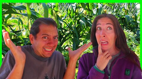 Our First Year PERMACULTURE Garden Tour | How Did It Do?