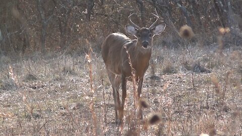 Muzzleloader Hunt: Daughter Bags First Buck