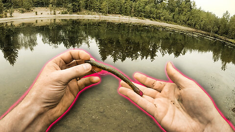 Pond Hopping and a NEW Worm Fishing TRICK!