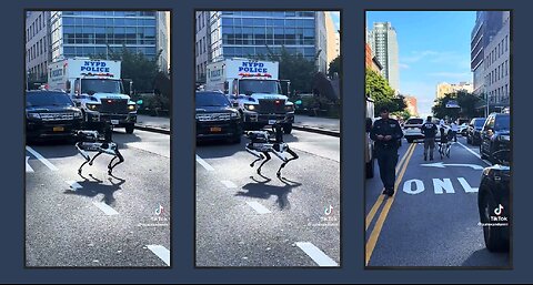 NYPD's Robot Dog Deployed in the City EW