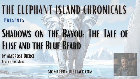 Shadows on the Bayou: The Tale of Elise and the Blue Beard