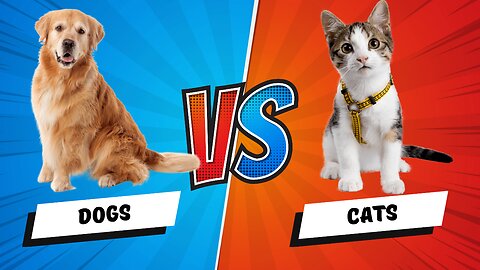 Dogs vs Cats