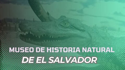 Recorriendo el Museo de Historia de El Salvador