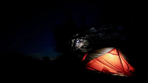 1-Person Ultralight Tent Winter Camping with My Furry Sidekick