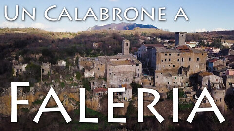 Un Calabrone a Faleria